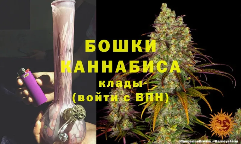 Бошки марихуана OG Kush  Сосновка 